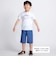 【 速乾 】【神戸須磨シーワールド×BeBe】シャチ・イルカ 図鑑風半袖Tシャツ(80~140cm)