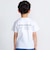 【 速乾 】【神戸須磨シーワールド×BeBe】シャチ・イルカ 図鑑風半袖Tシャツ(80~140cm)