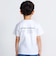 【 速乾 】【神戸須磨シーワールド×BeBe】シャチ・イルカ 図鑑風半袖Tシャツ(80~140cm)