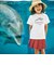 【 速乾 】【神戸須磨シーワールド×BeBe】シャチ・イルカ 図鑑風半袖Tシャツ(80~140cm)