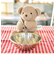 tiny bear ぬいぐるみ（大）