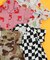 【リンク】シェフシャツオール