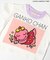 【リンク】がんこちゃんベビーセットアップ
