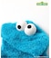 【リンク】SESAME STREET もこもこなりきりボディ