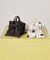 LG BOW MICRO BAG ノワールポルカドットスナイデル