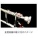 正規代理店 UltimateBand 55mm ブラック アルティメットバンド