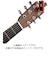 PW-CT-17RD クリップチューナー