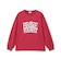 【GOODPRICE】【LTXC/綿100%】ビックロゴカラー長袖T