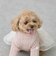 【DOG】チュールスカートドッキングワンピ
