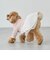 【DOG】チュールスカートドッキングワンピ
