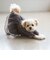 【DOG】チュールスカートドッキングワンピ