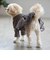 【DOG】チュールスカートドッキングワンピ