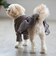 【DOG】チュールスカートドッキングワンピ