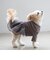 【DOG】チュールスカートドッキングワンピ
