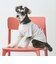 【リンク】【DOG】乗り物アップリケTシャツ
