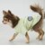 【リンク】【DOG】乗り物アップリケTシャツ