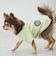 【リンク】【DOG】乗り物アップリケTシャツ