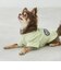 【リンク】【DOG】乗り物アップリケTシャツ