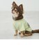 【リンク】【DOG】乗り物アップリケTシャツ