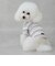 【リンク】【DOG】（防汚加工）マルチボーダーT