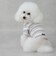【リンク】【DOG】（防汚加工）マルチボーダーT