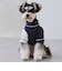 【リンク】【DOG】ベースボールシャツ