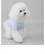 【リンク】【DOG】【接触冷感】刺しゅう半袖Tシャツ