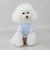 【リンク】【DOG】【接触冷感】刺しゅう半袖Tシャツ