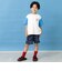 【綿100%】【365D.】アソートドライブプリント半袖Tシャツ