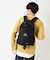 GREGORY/18L ファインデイ V2 JPS 1464931041 アウトドア 通勤 通学 グレゴリー デイパック バックパック リュック ユニセックス ムラサキスポーツ