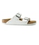 BIRKENSTOCK/レディース 552683  Arizona アリゾナ ビルコフロー サンダル シューズ  ビルケンシュトック ムラサキスポーツ