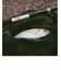 RGM　アールジーエム　SPEC.1　270cm
