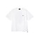 PENDLETON (ﾍﾟﾝﾄﾞﾙﾄﾝ) - BACK PRINT TEE (ﾊﾞｯｸﾌﾟﾘﾝﾄﾃｨｰ) 6275-4010