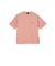 PENDLETON (ﾍﾟﾝﾄﾞﾙﾄﾝ) - BACK PRINT TEE (ﾊﾞｯｸﾌﾟﾘﾝﾄﾃｨｰ) 6275-4010
