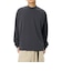 THE NORTH FACE (ノースフェイス) - L/S MONOLAY TEE (ロングスリーブモノレイティー) NT82661