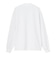 THE NORTH FACE (ノースフェイス) - L/S MONOLAY TEE (ロングスリーブモノレイティー) NT82661