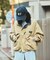 <新色追加>別注 New Destination Jacket Women's