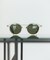 SUN POLARIZED #D ファッション用グラス