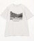 monotone photo TEE
