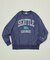 Champion × FREAK'S STORE 別注 REVERSE WEAVE VINTAGE WASH PRINT SWEAT