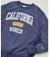 Champion × FREAK'S STORE 別注 REVERSE WEAVE VINTAGE WASH PRINT SWEAT