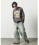 Champion × FREAK'S STORE 別注 REVERSE WEAVE VINTAGE WASH PRINT SWEAT