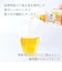 ◎[ケース販売] 赤ちゃんのむぎ茶 500ml×24本