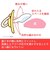 ChuChu デンティスター1 授乳期用