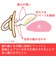 ChuChu デンティスター2 離乳期用