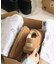 《追加》【UGG/アグ】M KENTON：ボアシューズ 3010 BLACK/CHESTNUT