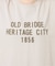 OLD BRIDGE フロッキーT