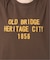 OLD BRIDGE フロッキーT