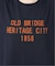 OLD BRIDGE フロッキーT