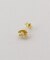 【Artisav/アルティサヴ】 silver GP star small earring：ピアス